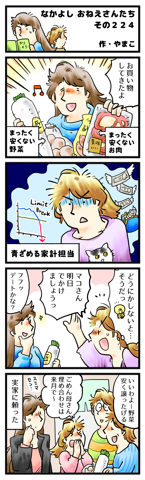 お買い物、任せてしまってごめんなさい…